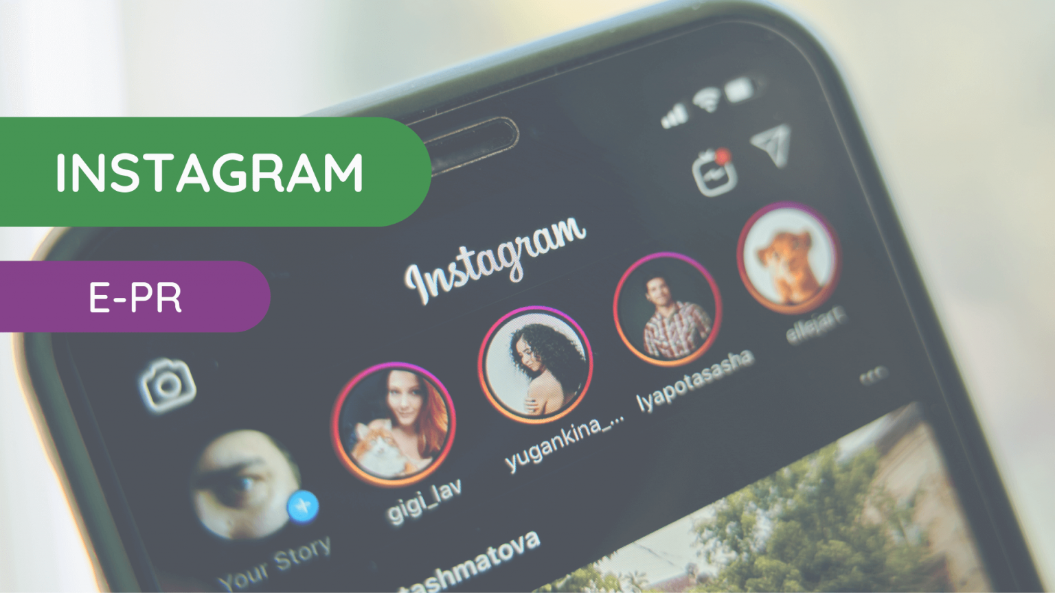 Instagram Stories Jak Można Je Wykorzystać W Firmie Artefakt